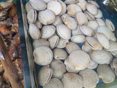 -江杨农产品批发市场