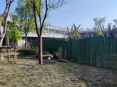 -沈阳森林动物园