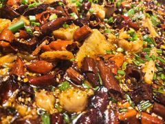 -正宗来凤鱼璧山兔(花卉园店)