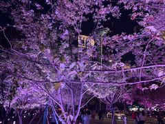 -西北湖绿化广场