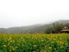 android_upload_pic-广州市石门国家森林公园
