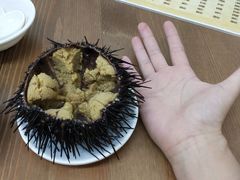 生海胆-海胆小馆(东北水饺·春柳店)