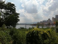 -灵玲国际马戏城