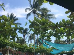 -三亚亚龙湾天域度假酒店