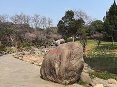 -无锡梅园公园