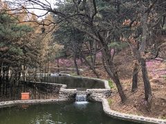 -红螺寺