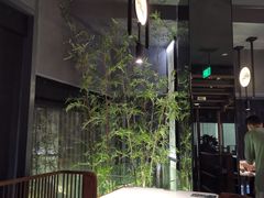 -绿茶餐厅(成都太古里店)