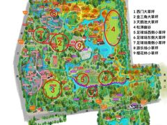 -上海共青森林公园