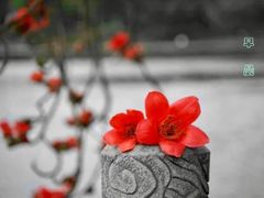 -芬芳甜品(东风西路店)