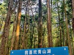 -青山湖景区