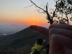 -紫金山山顶公园