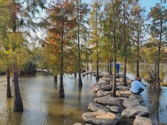 -上海长兴岛郊野公园