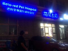 -萌兽医馆·绝育·24小时内科·宠物医院(德胜店)