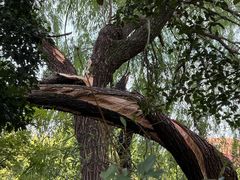 -杭州城北体育公园