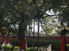 -药王庙(安国市)