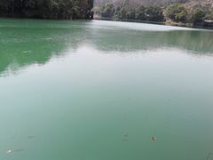 -白马涧龙池景区