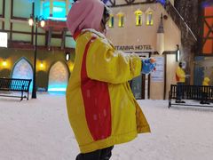 -世界之窗阿尔卑斯冰雪世界