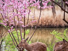 -银树楼(紫玉山庄东区店)