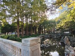 -上海财经大学(国定路校区)