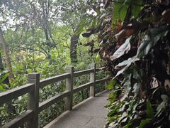 -广州市白云山风景名胜区