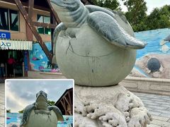 -广东惠东海龟国家级自然保护区