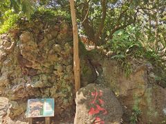 -海口火山口国家地质公园