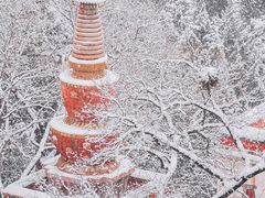 -颐和园