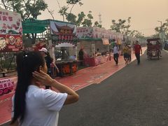 -上海长兴岛郊野公园