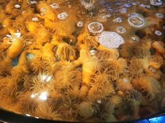 -渔满仓海鲜渔家(象山二店)