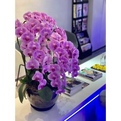 -SEBASTIAN塞巴斯汀