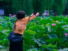 -莲湖公园