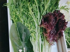 -南门四季铜锅涮肉(大屯·北苑店)