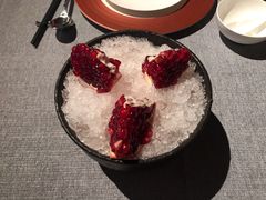 -柿合缘新京菜(国金中心商场店)