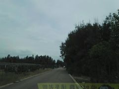 -漩门湾国家湿地公园