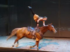 -cavalia·舞马