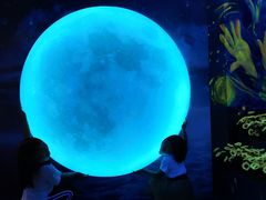 -天津梵高星空艺术馆(天河城旗舰店)