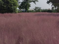 -嘉北郊野公园