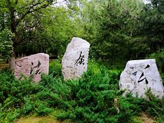 -奥林匹克森林公园南门-停车场