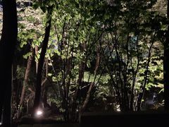 -天台山赤城山景区