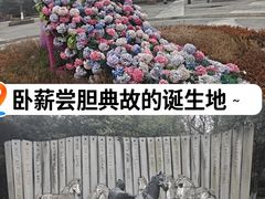 -白马涧龙池景区