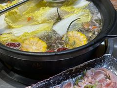 -春润大地海南椰子鸡(沙井京基百纳广场店)