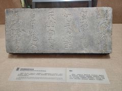 -烟台市博物馆