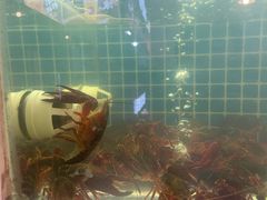 -冶建镜子·老南昌大排档·江西虾王(总店)