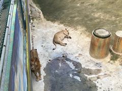 -昆明动物园