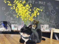 -研途咖啡馆(健康路店)