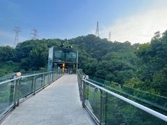 -巴倒烫陆派火锅山庄(南山总店)