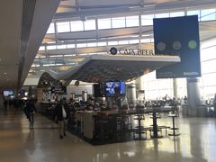 -纽瓦克自由国际机场