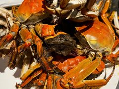 -一方渔歌蒸汽海鲜自助(文化路万达广场店)