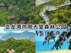 -三亚红色娘子军演艺公园景区