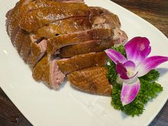 -陈麻婆豆腐(旗舰店)